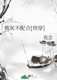 炮灰不配合快穿夜念