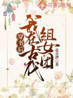 穿书之我在古代当贵妃