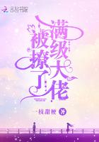 满级大佬被撩了全文