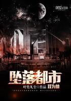 坠落都市我为仙帝