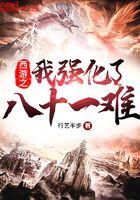 西游之最强升级系统