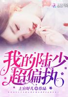 陆少 我超超超甜