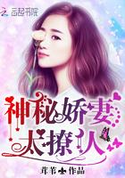 神秘娇妻太难追叶南弦
