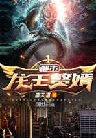 都市龙王赘婿笔趣阁