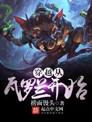 穿越瓦罗兰大陆的长篇