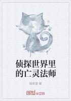 侦探世界里的警察