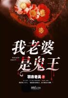 我老婆是鬼王为什么停更