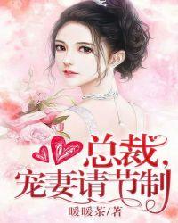 宠妻请节制有声