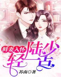 鲜妻入怀陆少轻一点