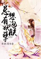 总有妖孽想泡朕全文