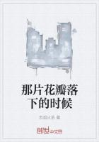 在那片花瓣上的回忆中文