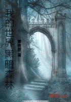 我的世界黑暗森林法则