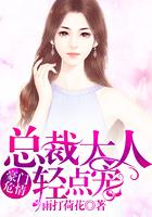 豪门盛宠总裁大人轻一点温若雅