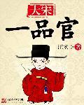 大宋一品附马