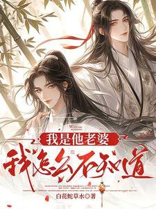 我是他老婆我怎么不知道番外