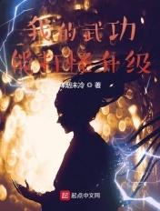 我的武功能升级txt