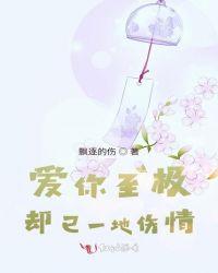 爱你至极却已一地伤情歌词