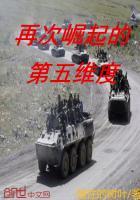 再次崛起的词语