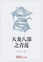 天龙八部之清嫣gl文