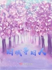 旧城旧人旧事的下一句是啥