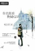 你的眼我的心应该放在哪里是什么歌