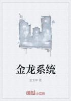 金龙系统金龙匕首的