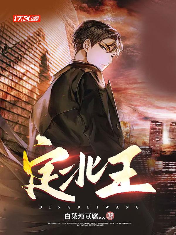 定北王那个电视剧