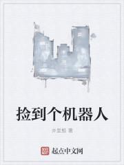 捡来的机器人打赢职业的是什么电影