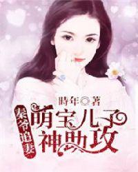 秦爷追妻莭宝神主坆