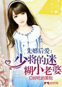 少将爱人先婚后爱txt