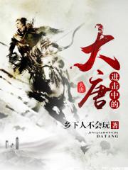 进击的大唐驸马爷免费读