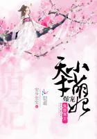 鬼面枭王:爆宠天才小萌妃