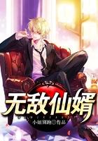 无敌仙婿